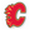 Calgary Flames Player Jersey Online